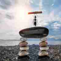 谷​歌﻿seo零​基‍础​教‌程﻿